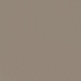 Textured Saxony Tradition Beige/Tan Carpet