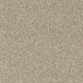 Casual Texture Beige Glow Beige/Tan Carpet