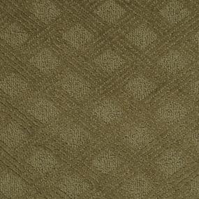 Pattern Olive Green Carpet