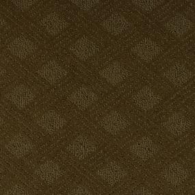 Pattern Umber Brown Carpet