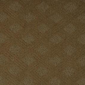 Pattern Countrywood Beige/Tan Carpet