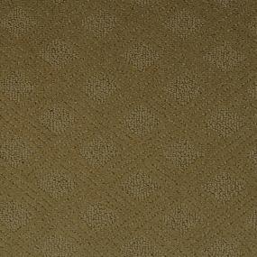 Pattern Golden Sand Beige/Tan Carpet