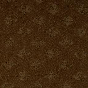 Pattern Butter Brickle Brown Carpet