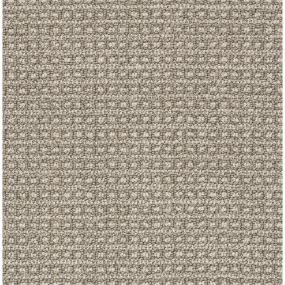 Berber Toasted Nut Beige/Tan Carpet