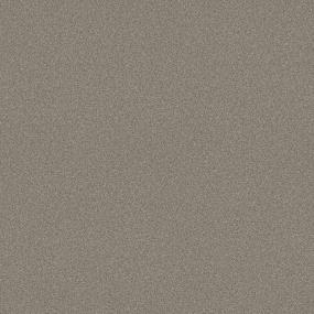 Textured Saxony Encore Brown Carpet