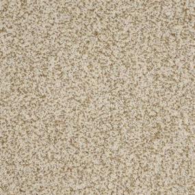 Textured Saxony Ambassador Beige/Tan Carpet