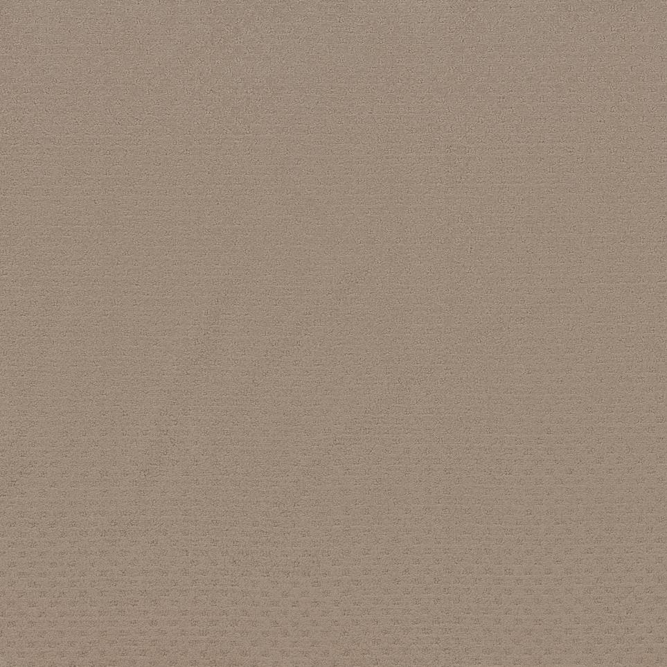 Pattern Brass Beige/Tan Carpet