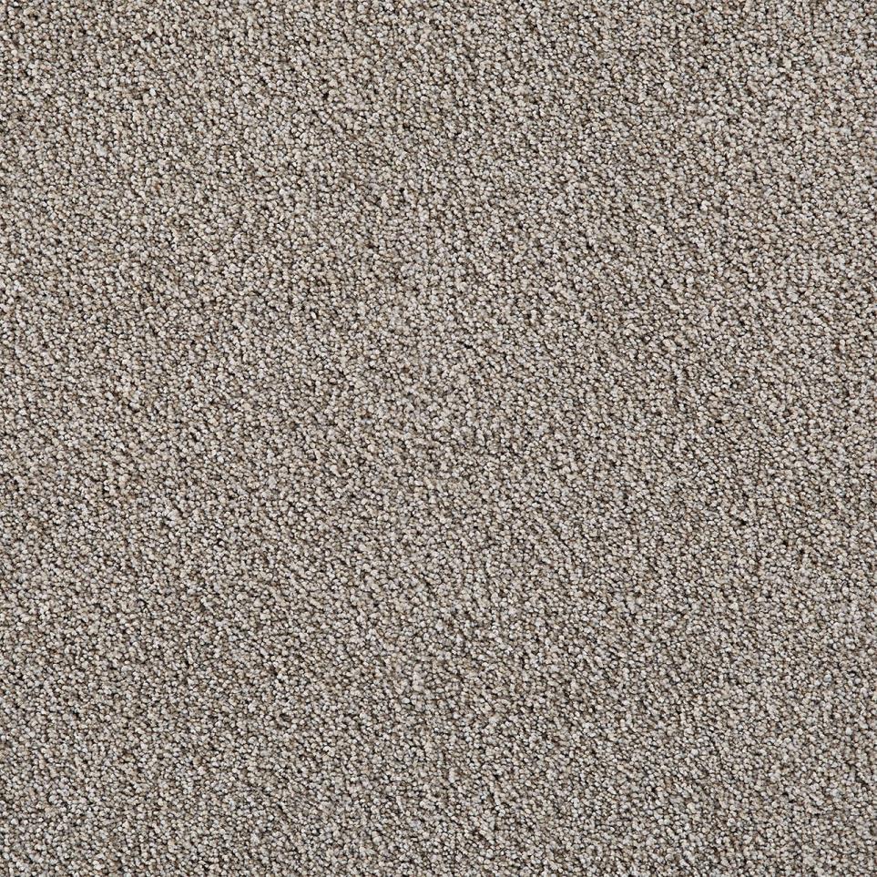Cut Pile Spotlight Gray Carpet