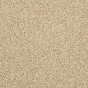 Casual Texture Suede Beige/Tan Carpet