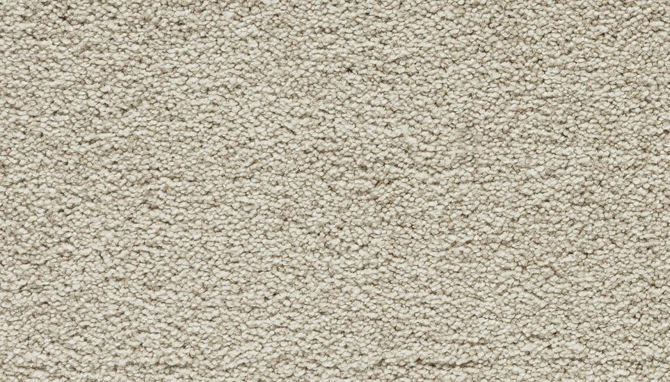 Textured Saxony Purity Beige/Tan Carpet