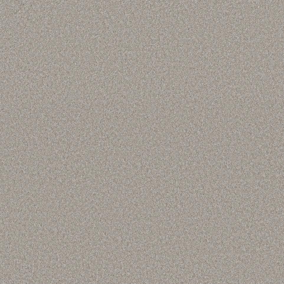 Cut Pile GREAT GREIGE Gray Carpet