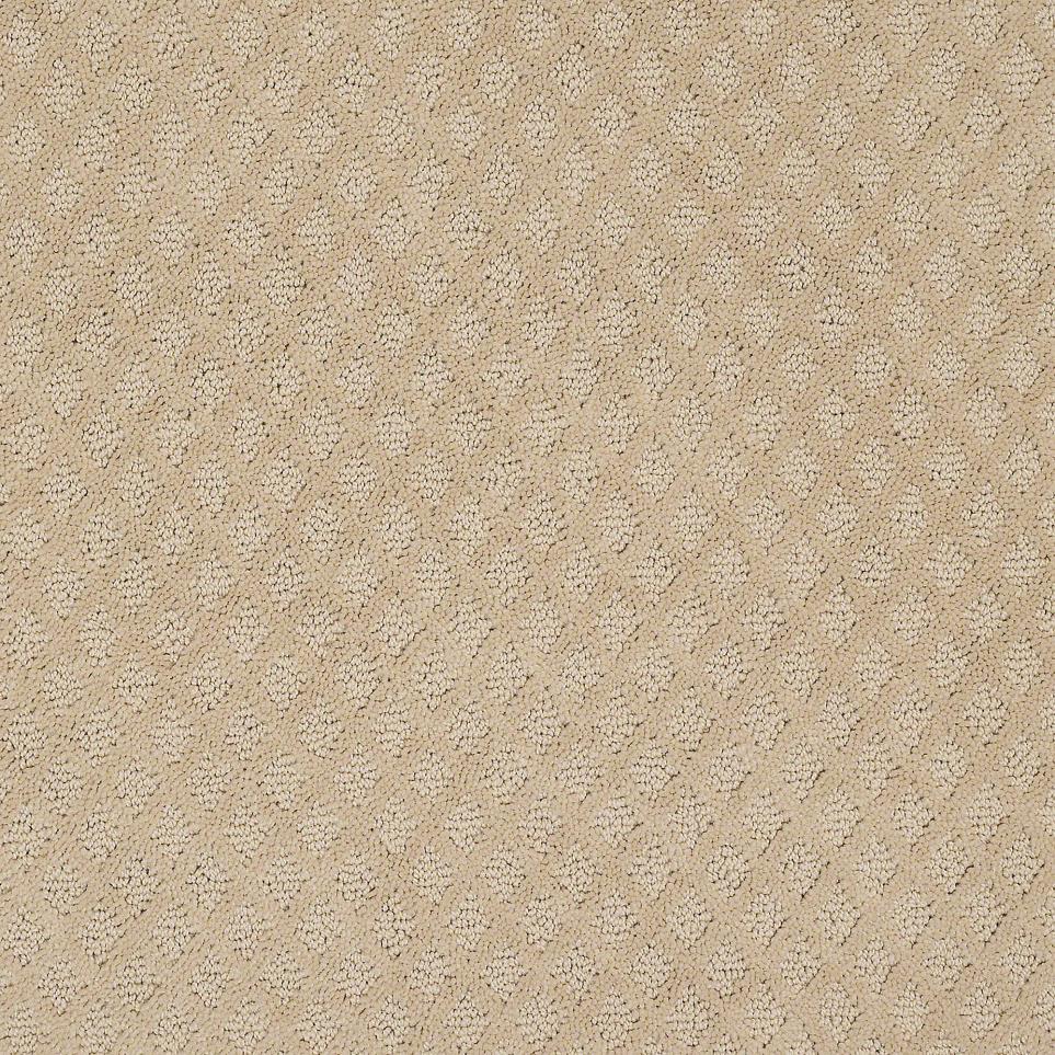 Pattern Beach Comber Beige/Tan Carpet