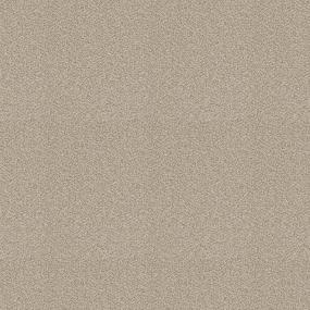 Plush Saxony Pebblerock Beige/Tan Carpet