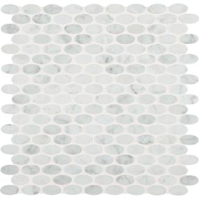 Mosaic Carrara White Polished White Tile