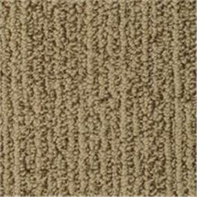 Loop Scarsdale Brown Carpet