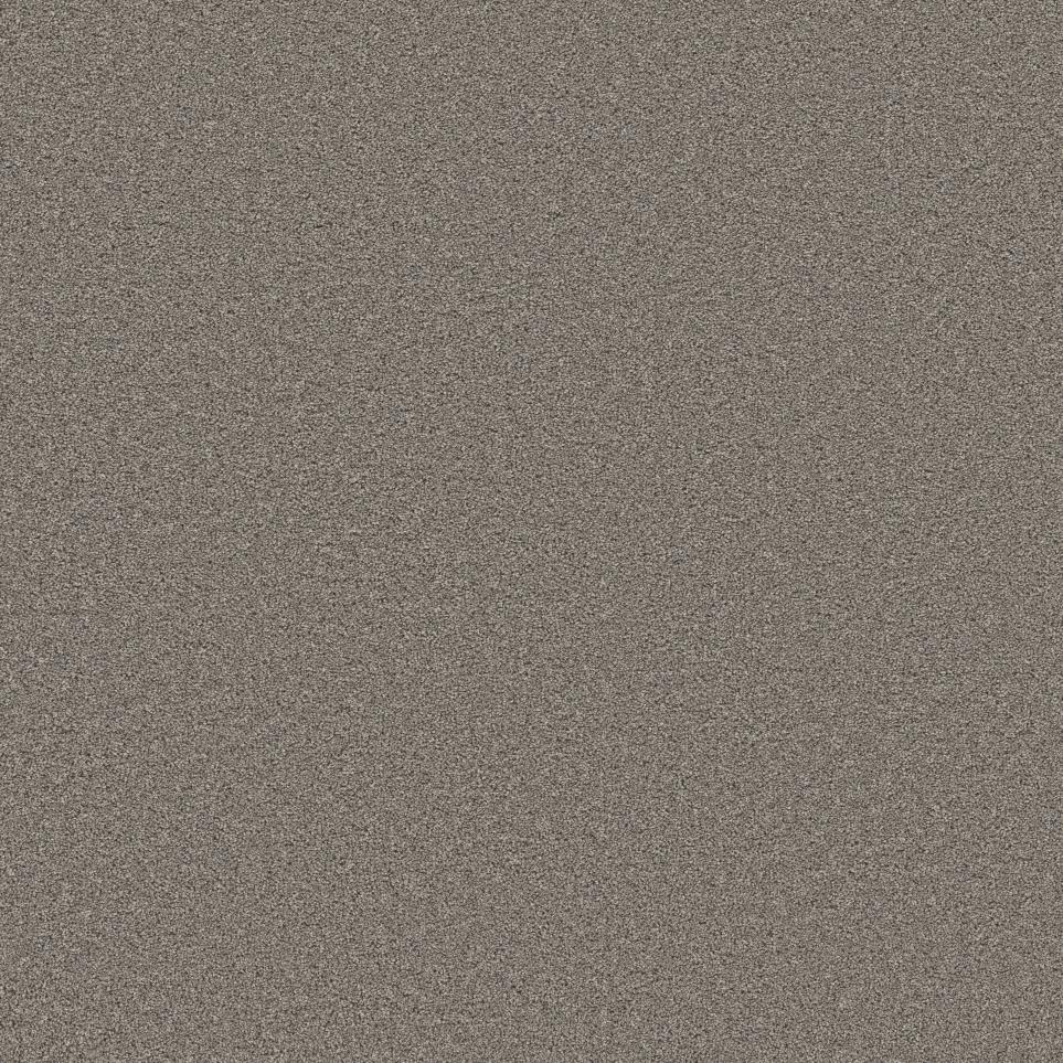 Texture Nut Shell Gray Carpet