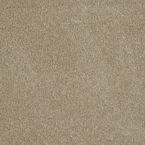 Textured Saxony Performer Beige/Tan Carpet