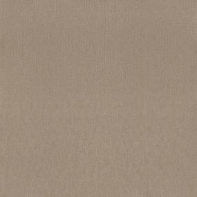 Pattern Devonshire Beige/Tan Carpet