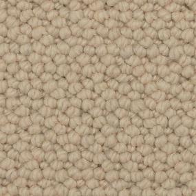 Woven Seashell Brown Carpet