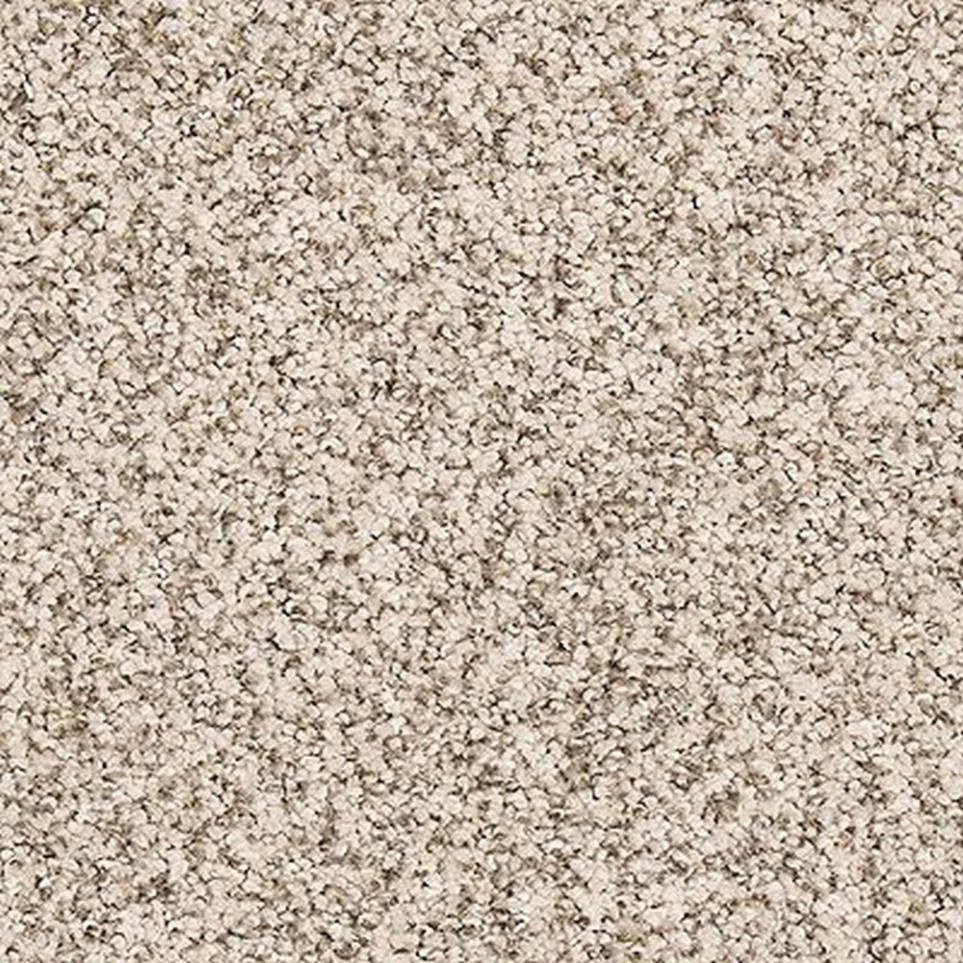 Textured Saxony Dutch White Beige/Tan Carpet