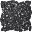 18Fbgpb Black