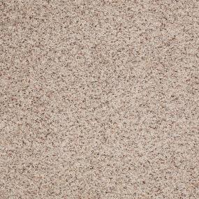Shop Discount Carpet Carpeting Prosource Wholesale