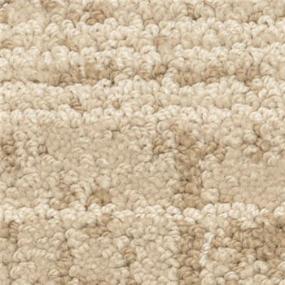 Loop Tender Taupe Beige/Tan Carpet