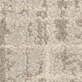 Loop Stardust Beige/Tan Carpet