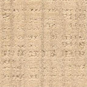 Pattern Driftwood Beige/Tan Carpet