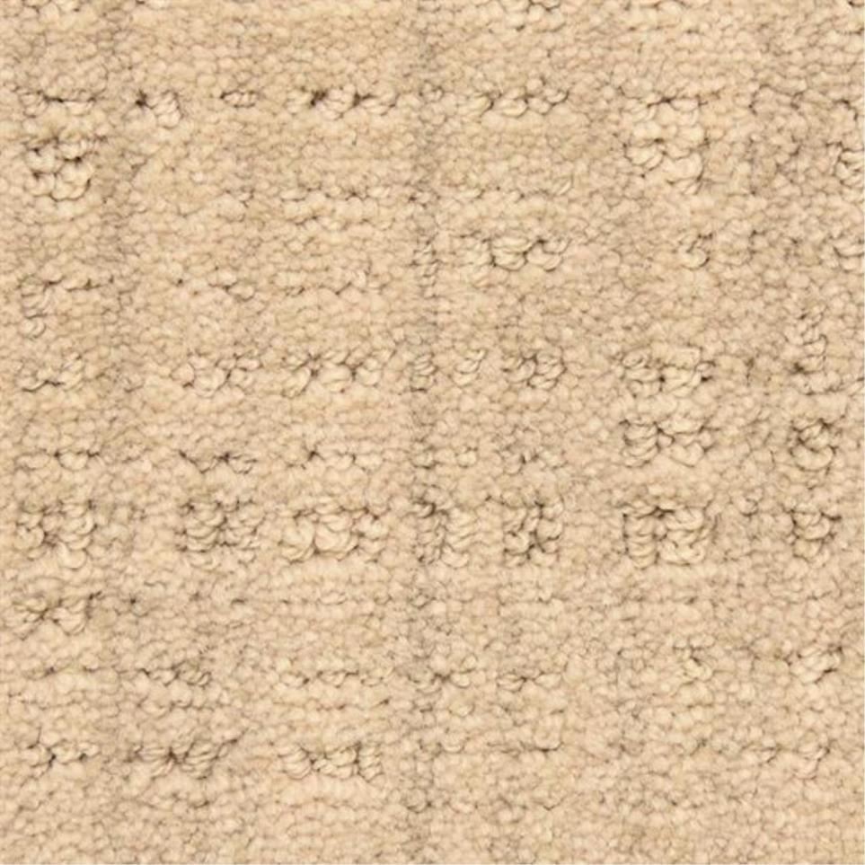 Pattern Driftwood Beige/Tan Carpet