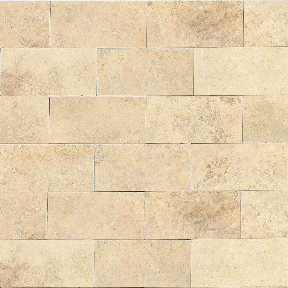 Tile Mediterranean Ivory Honed Beige/Tan Tile