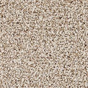 Textured Saxony Contessa Beige/Tan Carpet