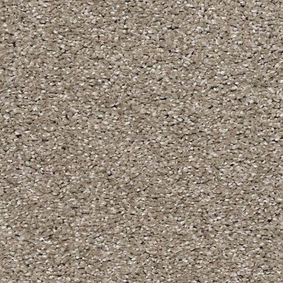 Textured Saxony Garden Wall Beige/Tan Carpet