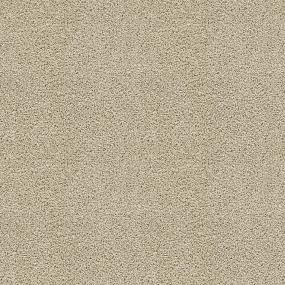 Textured Saxony Great Addition Beige/Tan Carpet