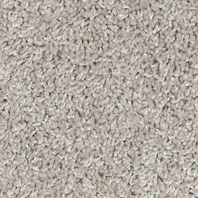 Texture Saddle Gray Carpet