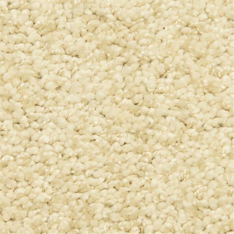 Casual Texture Garden Of Eden Beige/Tan Carpet