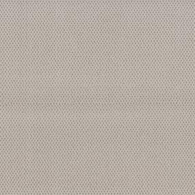 Pattern Halo Gray Carpet