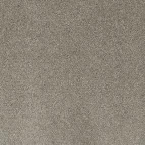Textured Saxony DIRECTOR Gray Carpet