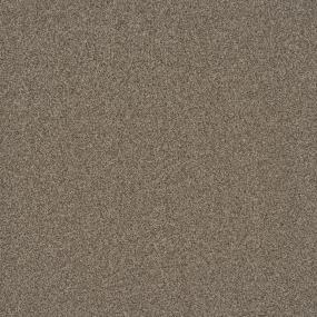 Frieze Mesa Beige/Tan Carpet