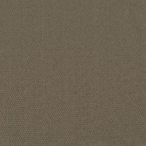 Pattern Patience Brown Carpet