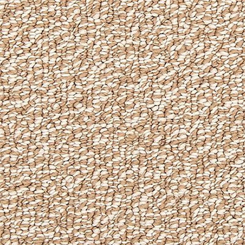 Loop Naples Beige/Tan Carpet