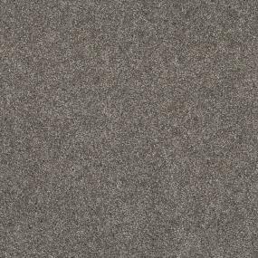 Casual Texture Steel Wool Beige/Tan Carpet
