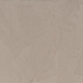 Casual Texture Starfish Beige/Tan Carpet