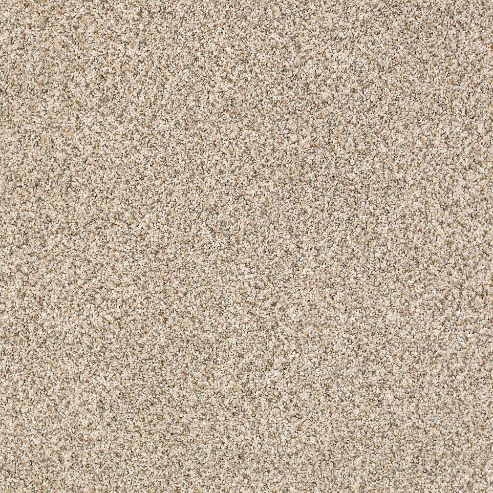 Texture Sepia  Carpet