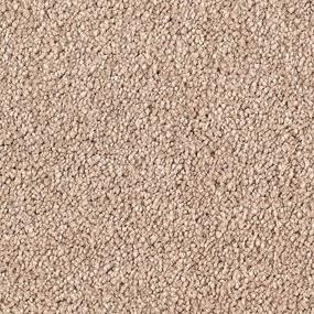 Textured Saxony Manhattan Beige/Tan Carpet
