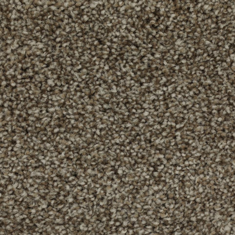 Texture Rich Earth Brown Carpet
