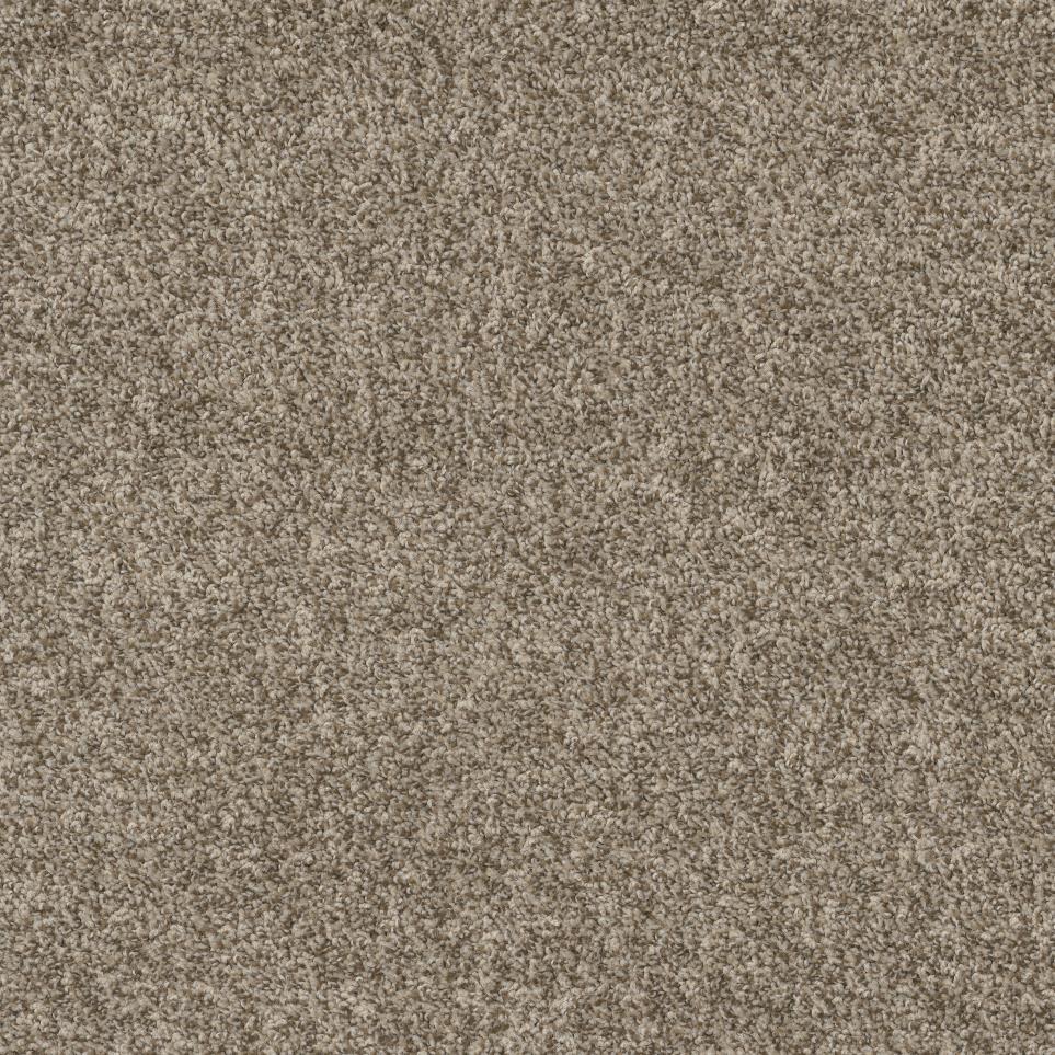 Frieze Driftwood Beige/Tan Carpet