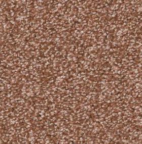 Textured Saxony Beauty Brown Carpet