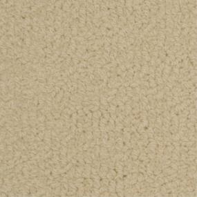 Loop Grandin Beige/Tan Carpet