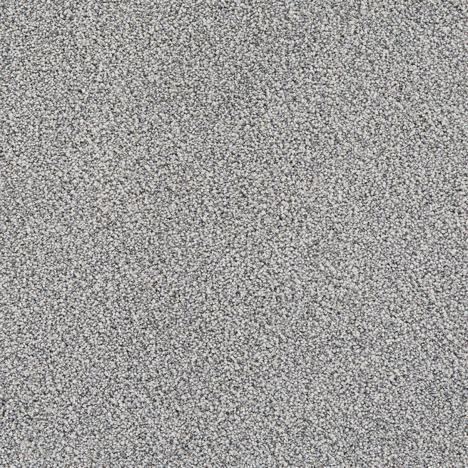 Cut Pile Legacy Gray Carpet